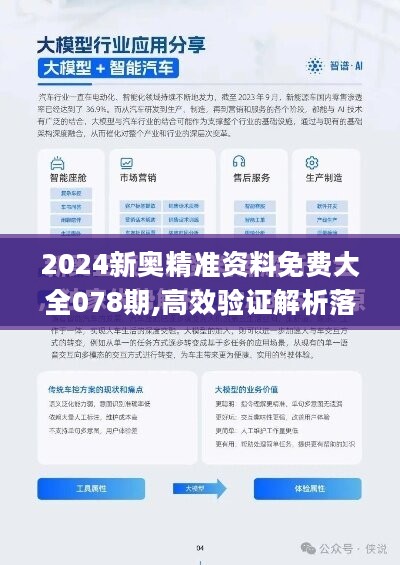 2024-2025新澳精准资料，精选解释解析与落实策略