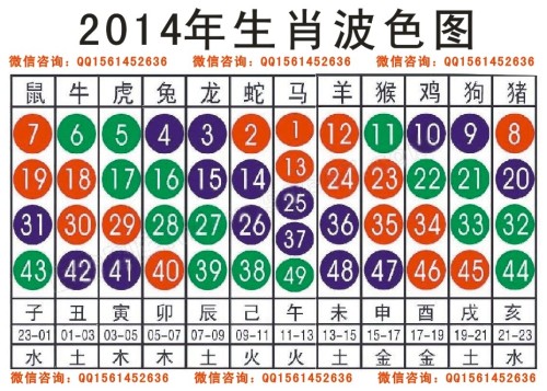 2024-2025十二生肖49码表，最佳精选解释与落实