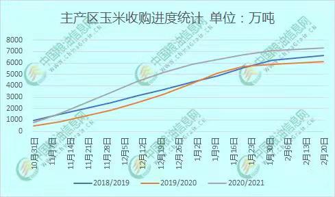 北京玉米价格最新行情，市场波动与未来展望