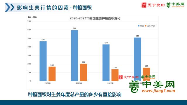 2023羊肚菌最新价格，市场趋势、影响因素及未来展望