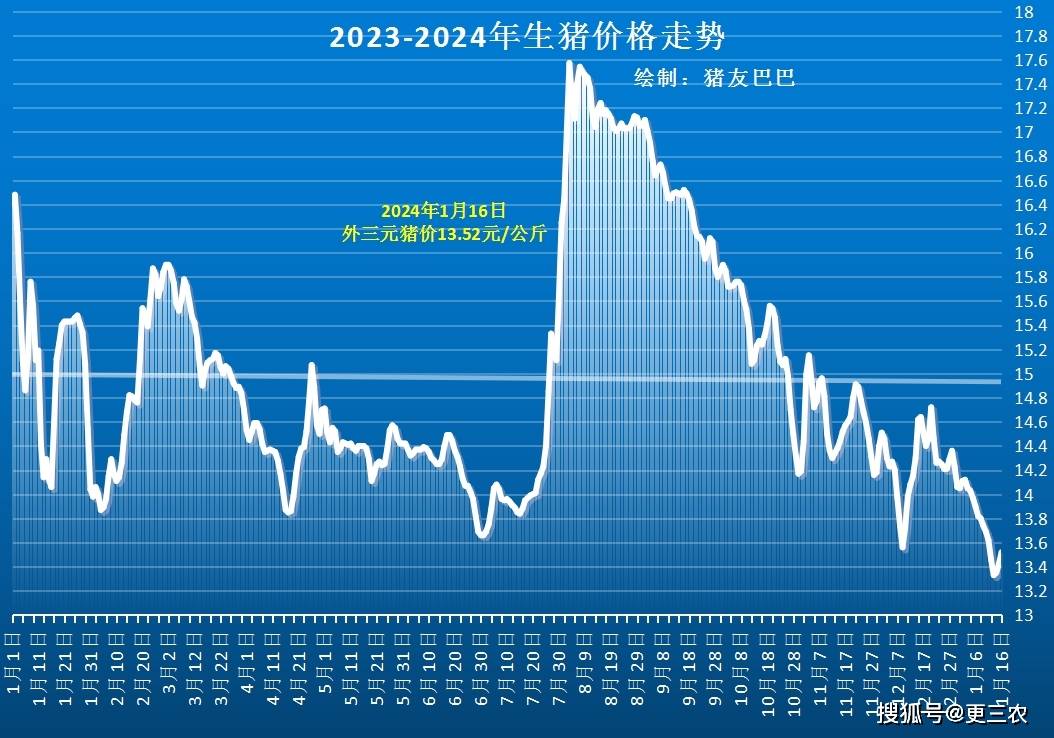 今日最新毛猪价格，市场波动背后的深层原因与未来趋势分析