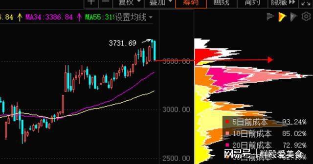 蒋仕波最新持股，深度解析与未来展望