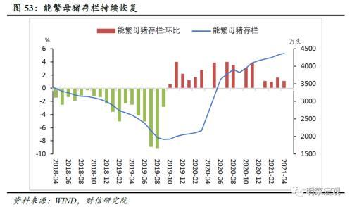 50钒铁最新价格，市场趋势、影响因素及未来展望