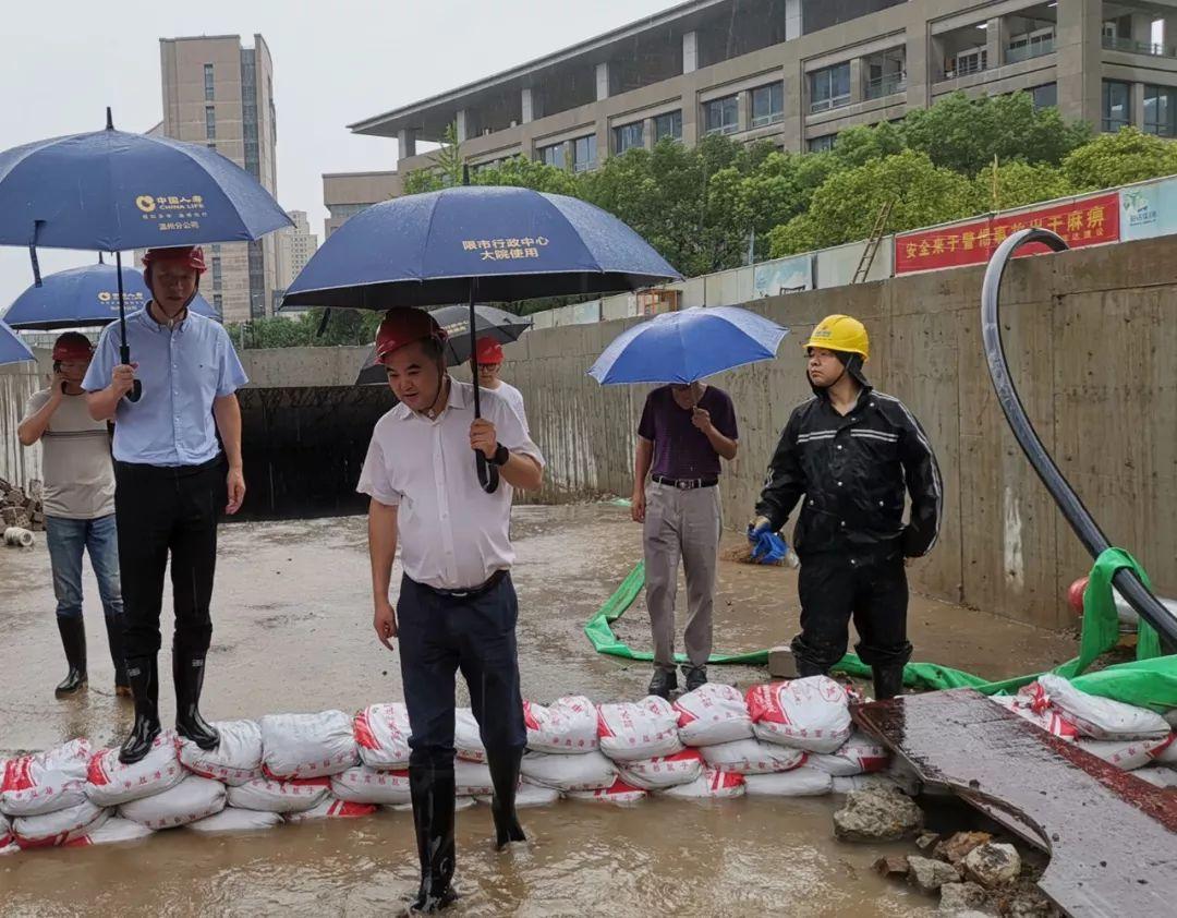 最新台风温州网，台风预警与防灾减灾的先锋