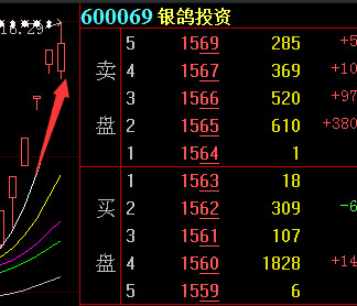 银鸽投资最新消息，转型之路与未来展望